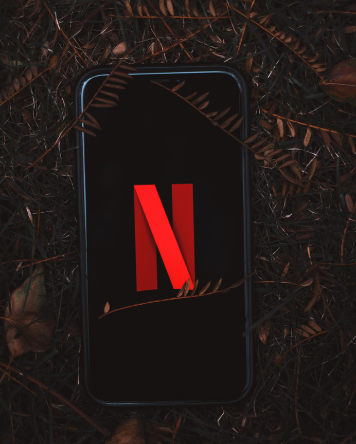 Smartphone on Dried Leaves